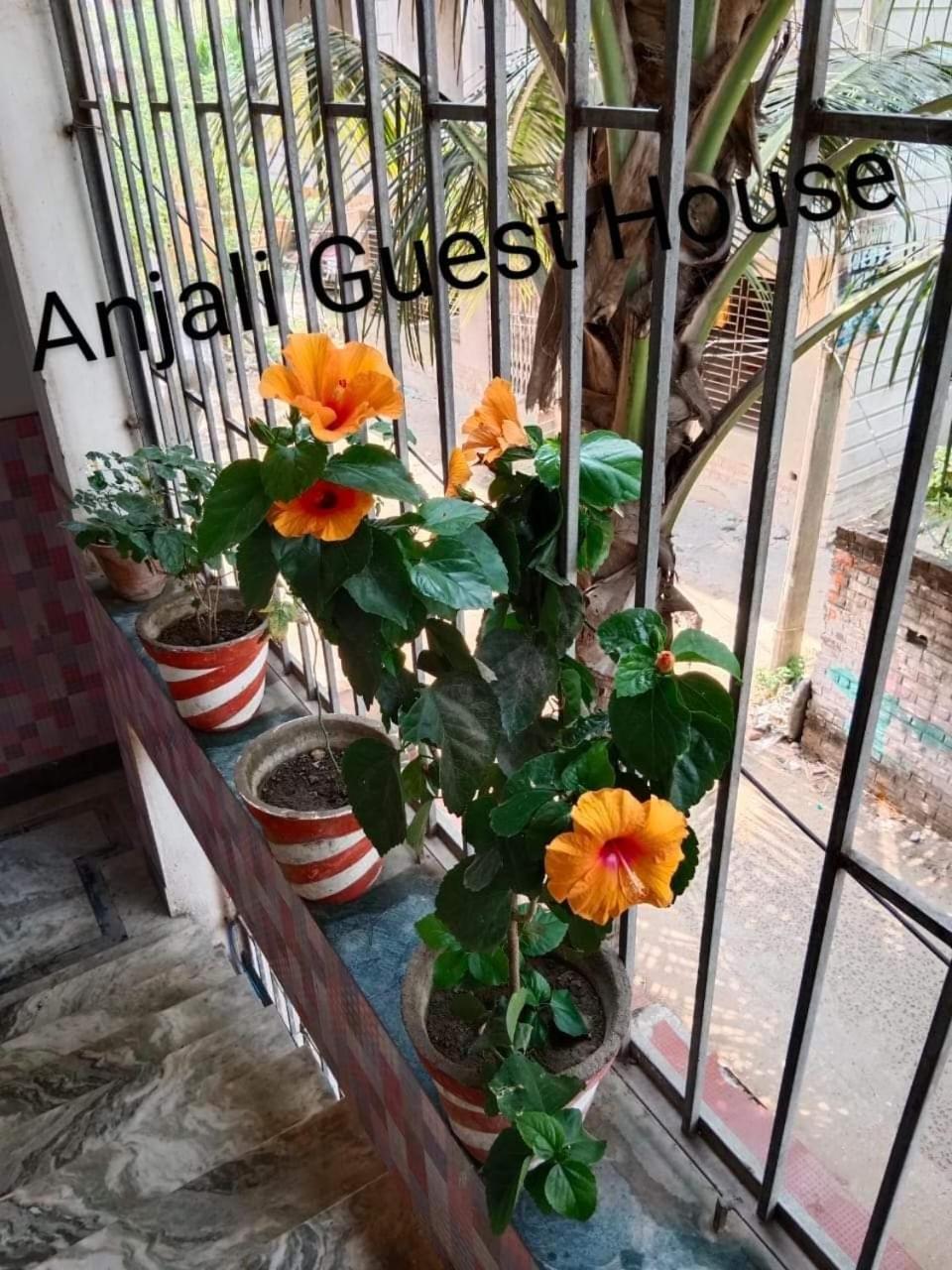 Anjali Guest House 디가 외부 사진
